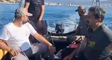 Marmara'nın güney kıyılarını denizanası istila etti