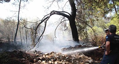 Ormanlık alandaki yangın büyümeden söndürüldü