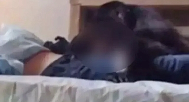 Otel Odasında Maymunun Cinsel Saldırısına Uğradı