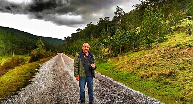 Peyzaj İle Tarihi Ağaçlar Zarar Görebiliyor