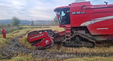 Sinop'ta çeltik hasadı başladı