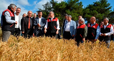 Tarım Liseli Öğrencilerden Çeltik Hasadı   