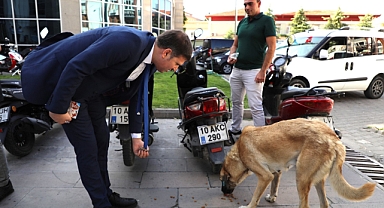 Tayfun Canlı, “Can Dostlarımızı Unutmayalım”   