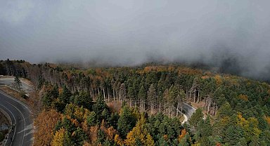 Uludağ'da sonbahar şöleni havadan görüntülendi