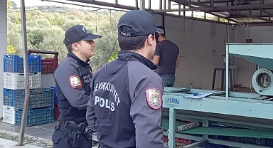  Zeytin Bahçelerinde Polis Göz Açtırmıyor   
