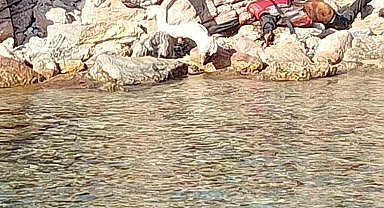 Adada cesetle karşılaştılar