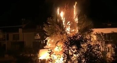 Ağaçlık alanda çıkan yangın korku dolu anlar yaşattı