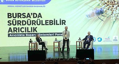 Arıcılıkta başarı yöntemleri