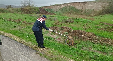 Can Dostlarımız Jandarmaya Emanet !