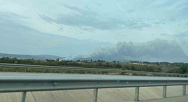 Çanakkale'de orman yangını