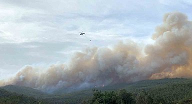 Çanakkale'deki orman yangınında 700 hektarlık alan zarar gördü