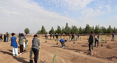Diyarbakır'da öğrenciler fidan dikti