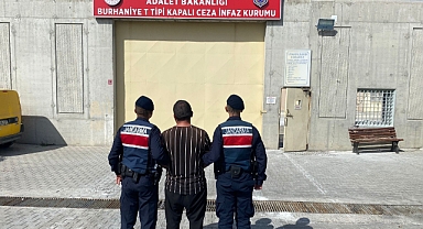 Edremit'te Zeytin Çalarken Jandarmaya Yakalanan Hırsız Tutuklandı