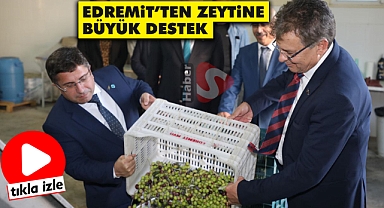 Edremit’ten Zeytine Büyük Destek