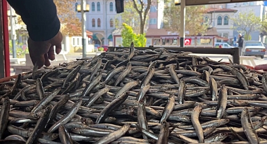 Hamsi Fiyatı ve Lezzetiyle Vatandaşın İlk Tercihi