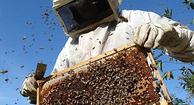 Kadınlara Tam Destek