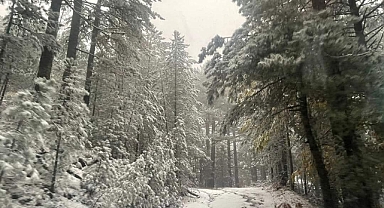 Kapıdağ'a Yılın İlk Karı Yağdı