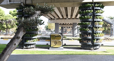 Kocaseyit Üst Geçidi Çiçek Gibi Oldu