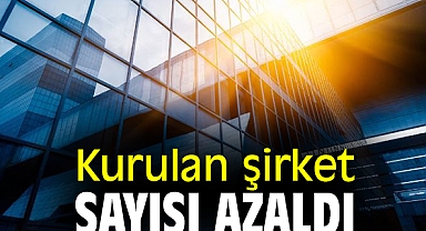 Kurulan Şirket Sayısında Azalma