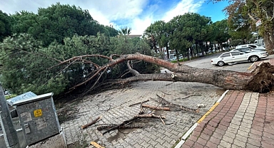 Kuvvetli Fırtına ile Yağış Ayvalığı Vurdu!
