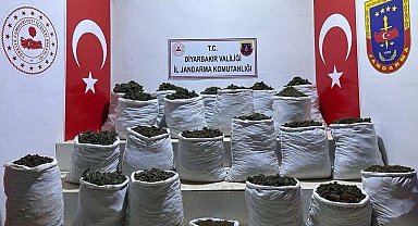 Lice'de 280 kilo esrar ve 244 bin 500 esrar bitkisi ele geçirildi