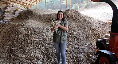 Muratpaşa'da yeşil ekonomi anlatılacak