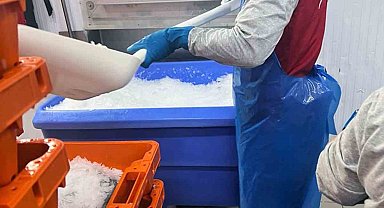 Roman vatandaşlar istihdama kazandırılıyor