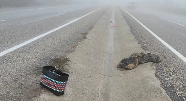 Sisten Önünü Göremedi Kadına Çarptı !