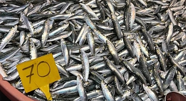 Soğuk Hava Bereketiyle Geldi