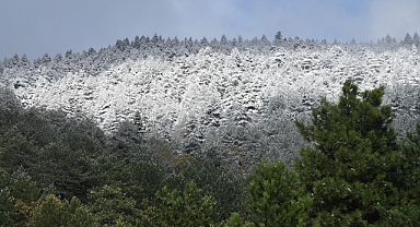 Soğuk Hava Yağışı Getirdi
