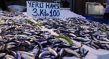 Trabzon'da yerli hamsinin 3 kilosu 100 liradan satılıyor