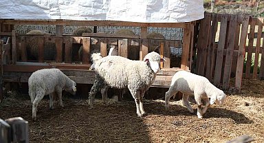 Üretici kadınlara Merkezefendi Belediyesi'nden yüz güldüren destek
