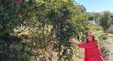 Uzun ve sağlıklı yaşamın sırrı 'Nar' da gizli