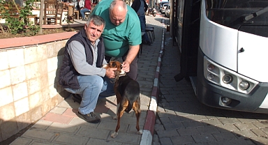 VETBÜS Balya’da Hayvanlara Şifa Oldu