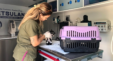 VETBÜS’ün Aralık Ayı Programı Belli Oldu