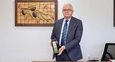 Zeytinin Başkenti Burhaniye'de Hasat Zamanı 