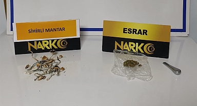 Ayvalık’ta Polisten 'Sihirli Mantar' Operasyonu 