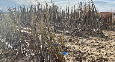 Balıkesir’den Ülke Ekonomisine Büyük Katkı