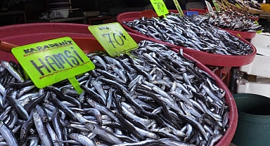 Bandırmada Tezgahlar Balık Doldu Taştı !