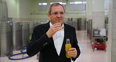 Başkan Ergin; “Zeytinliklerimize Sahip Çıktık”