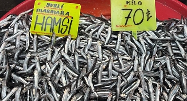 Büyük Balık Küçük Balığı Yiyemedi, Hamsi Bollaştı 