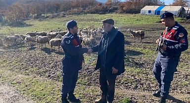 Dursunbey’de Kayıp Koyunları Jandarma Buldu