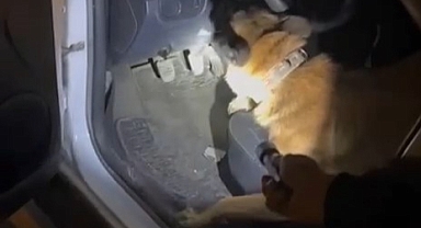 Edremit’te Direksiyon Haznesine Saklanan Uyuşturucuyu 