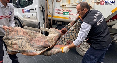 Pırıl Pırıl Karesi