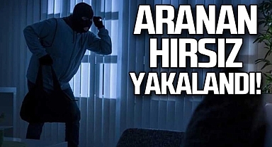 Sındırgı’daki Oto Hırsızı Yakalandı