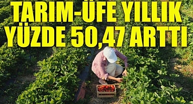 Tarım-ÜFE Yıllık Yüzde 50,47 Arttı