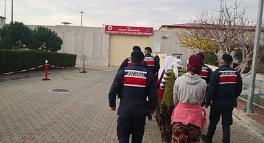 Zeytin Hırsızları Suçüstü Yakalandı!