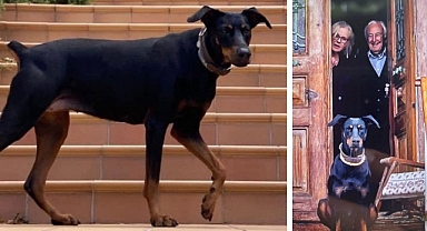 200 Gündür Haber Alınamayan Korhan Berzeg’in Araçla Kaçırıldığı İddia Ediliyor