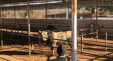 Başkan Yılmaz'dan Havran'a Müjde !