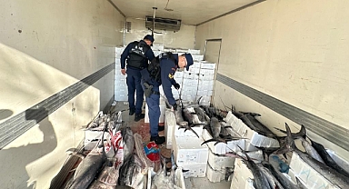 Burhaniye’de Limit Altı Avlananlara Rekor Ceza